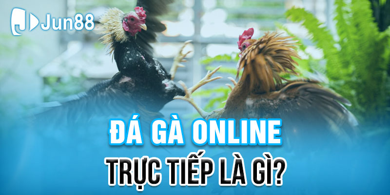 Đá gà online trực tiếp là gì?