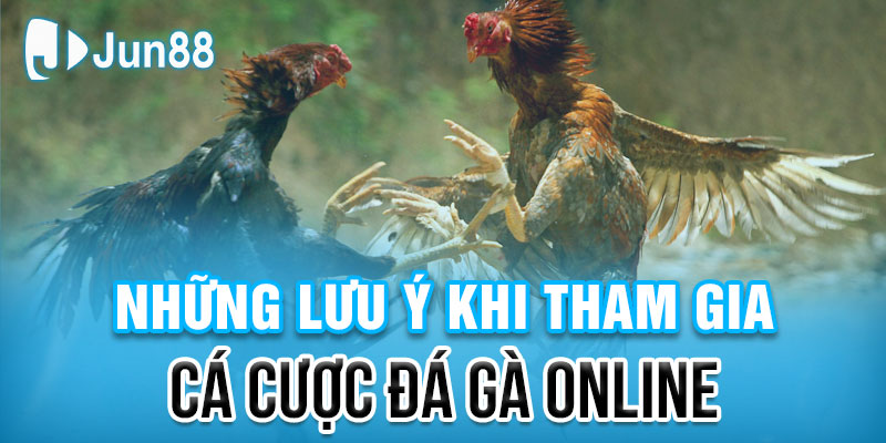 Lưu ý cần thiết khi tham gia cá cược đá gà online