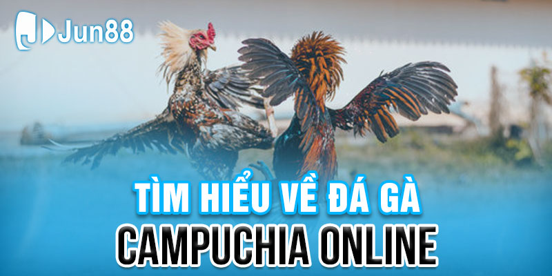 Thông tin về đá gà Campuchia online